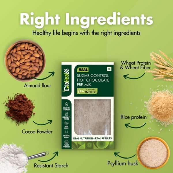 Diahealth Sugar Control Chocolate Cake Premix - Image 2